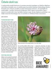 Čebele okoli nas maj 2019